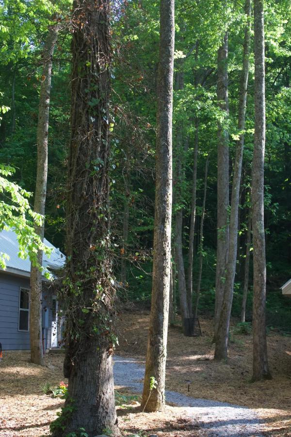 Villas At Gingershack Farms เอลลิเจย์ ภายนอก รูปภาพ